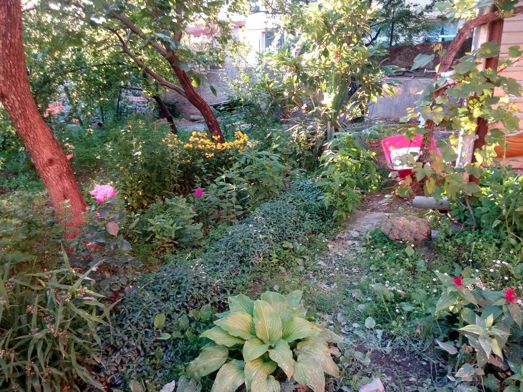 Guest House Chirina Signagi Exterior foto