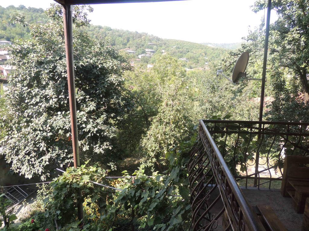 Guest House Chirina Signagi Exterior foto